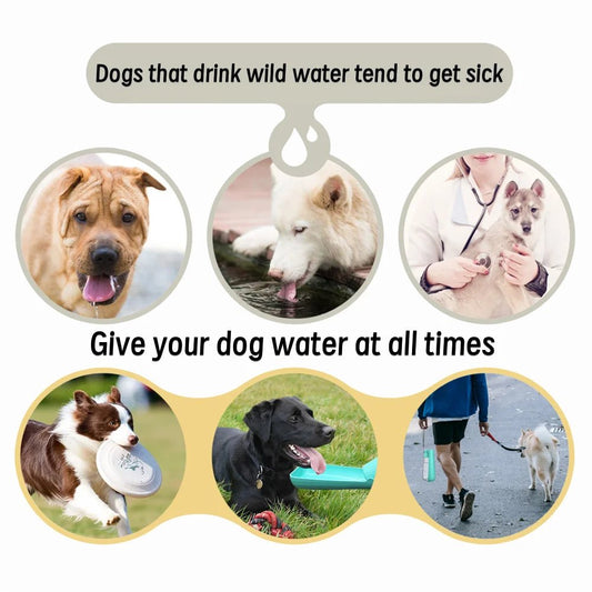 Large Dog Outdoor Foldable Water Bottle with Leak Proof Drinking Bowl - PureShop