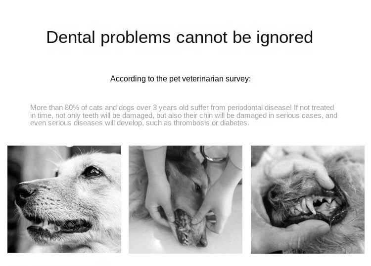Pet Oral Care Toothbrush