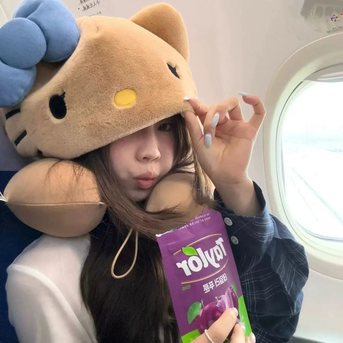 Travel Neck Pillow