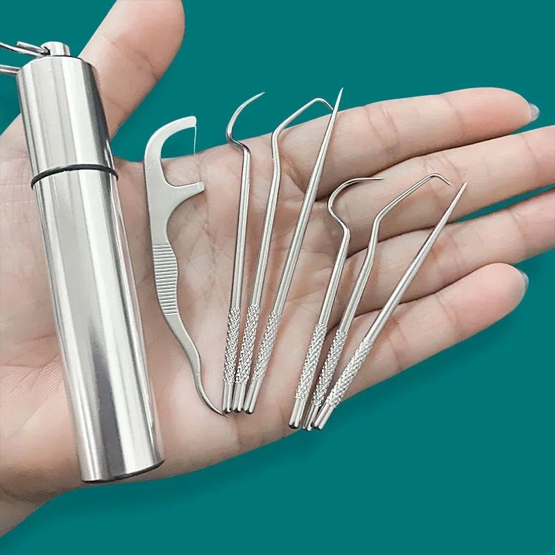 Reusable Stainless Steel Toothpicks