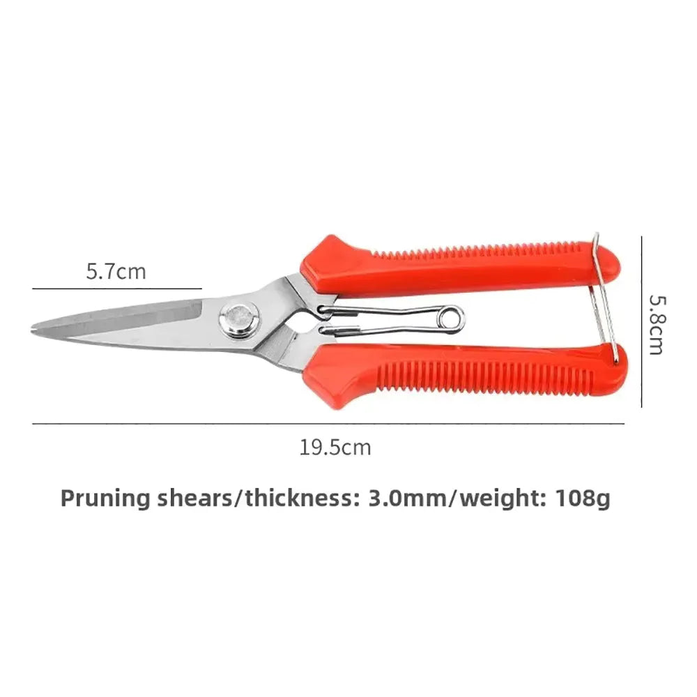 Straight Pruning Shears