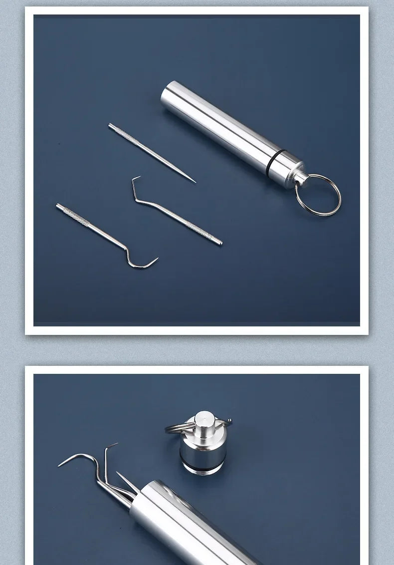 Reusable Stainless Steel Toothpicks