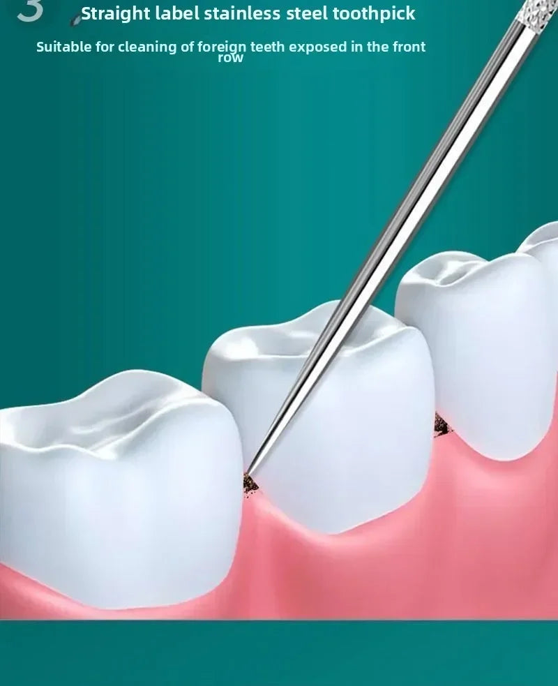 Reusable Stainless Steel Toothpicks