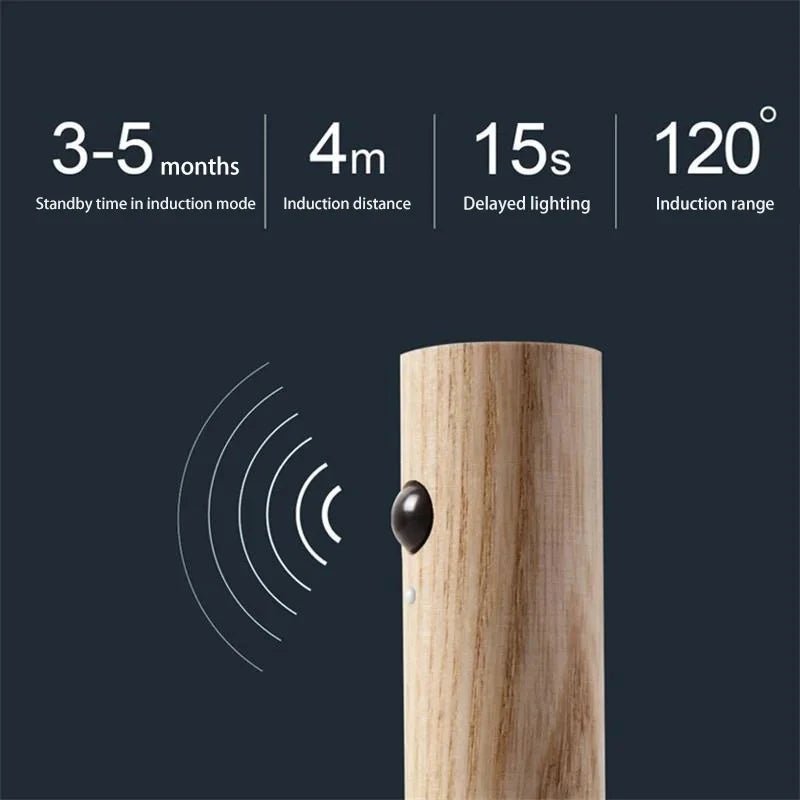Human Body Induction Lamp USB Charging Smart Motion Sensor