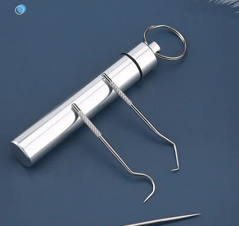 Reusable Stainless Steel Toothpicks