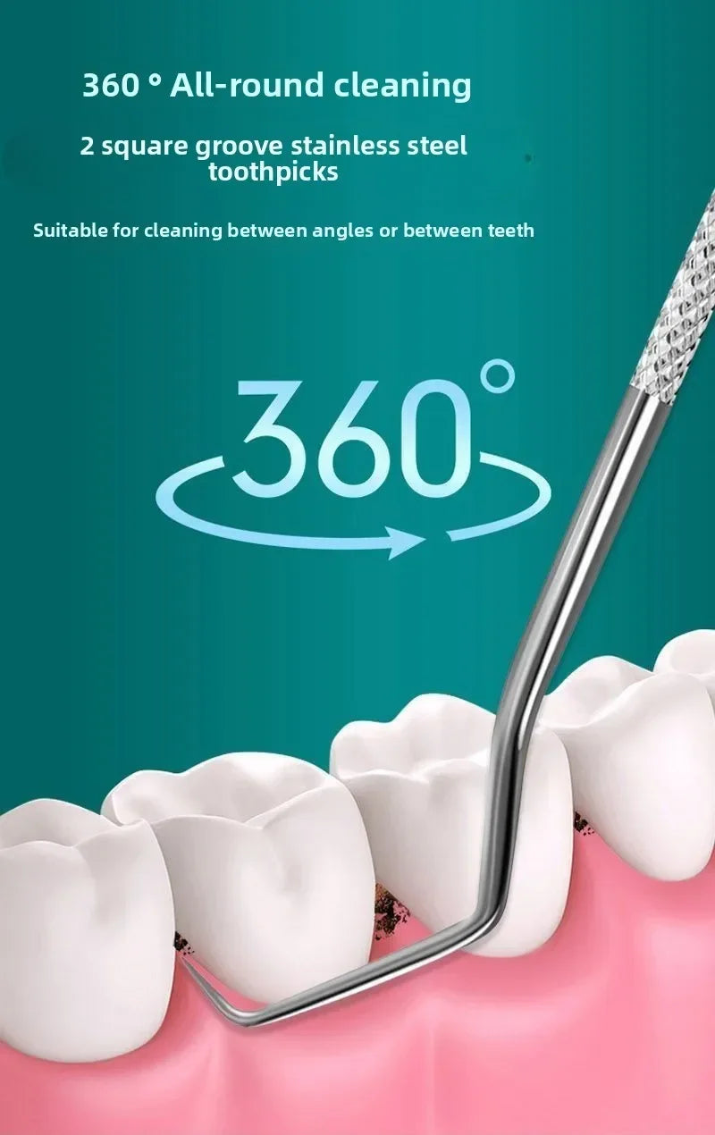 Reusable Stainless Steel Toothpicks