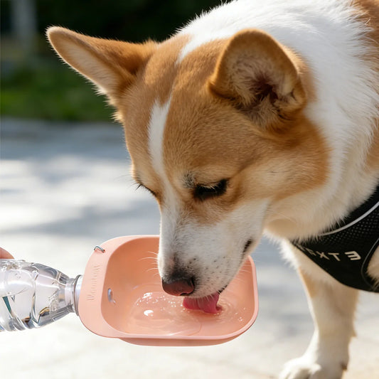 Portable Dog Water Bottle with Attached Bowl:Travel Waterer for On-the-Go Hydration During Walks & Outdoor Adventures