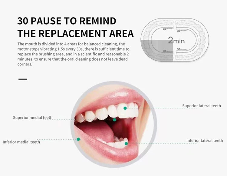 Ultrasonic Electric Toothbrush