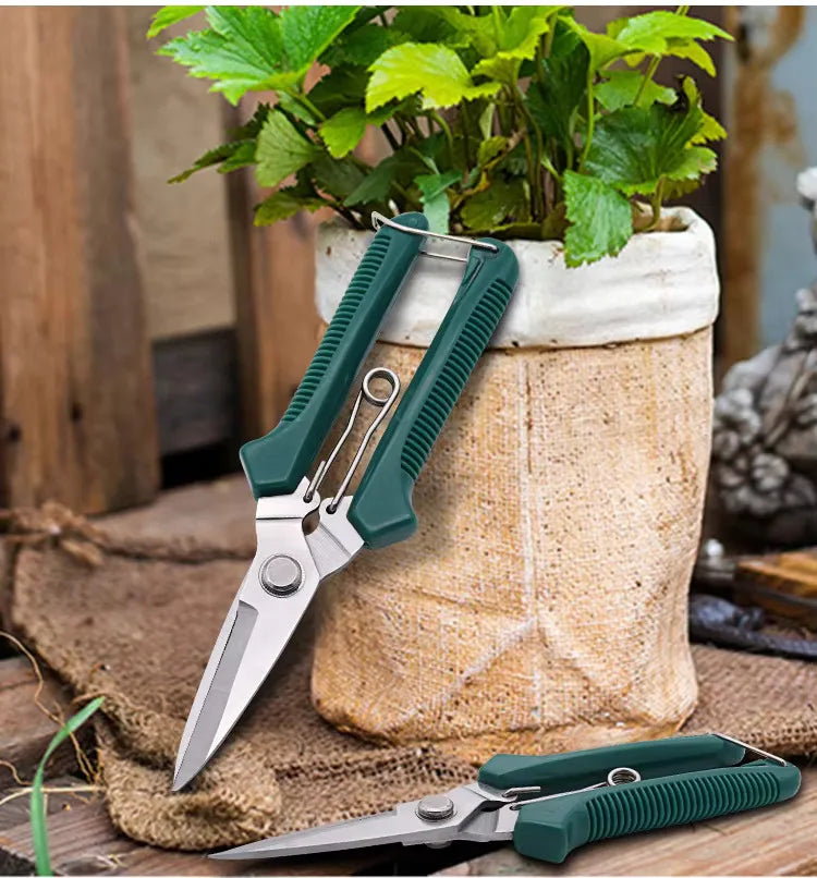 Straight Pruning Shears