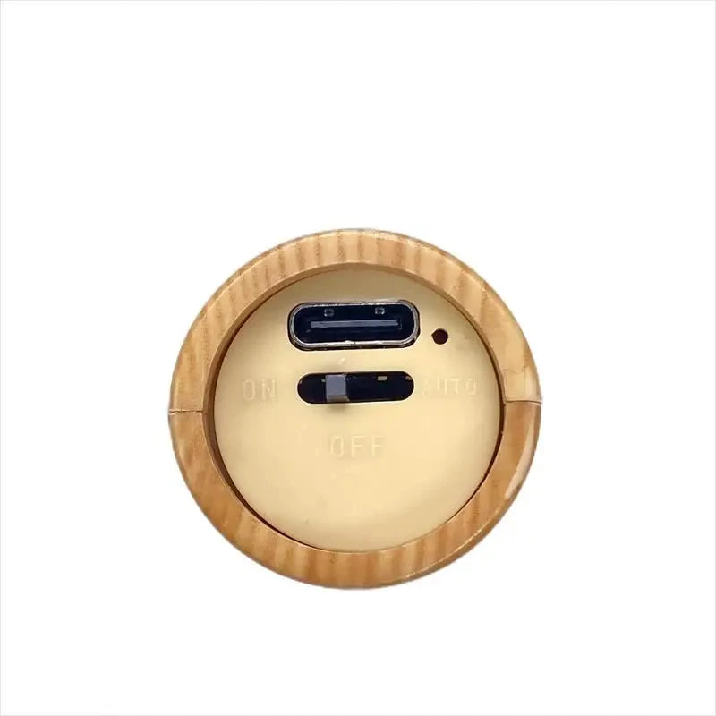 Human Body Induction Lamp USB Charging Smart Motion Sensor