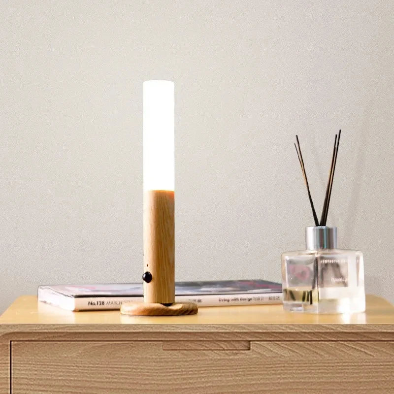 Human Body Induction Lamp USB Charging Smart Motion Sensor