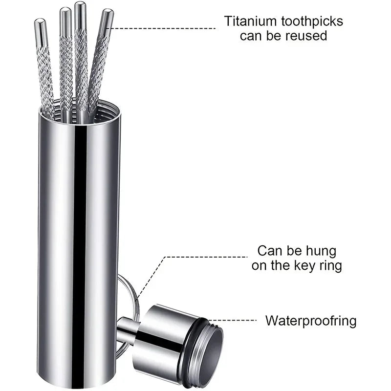 Reusable Stainless Steel Toothpicks