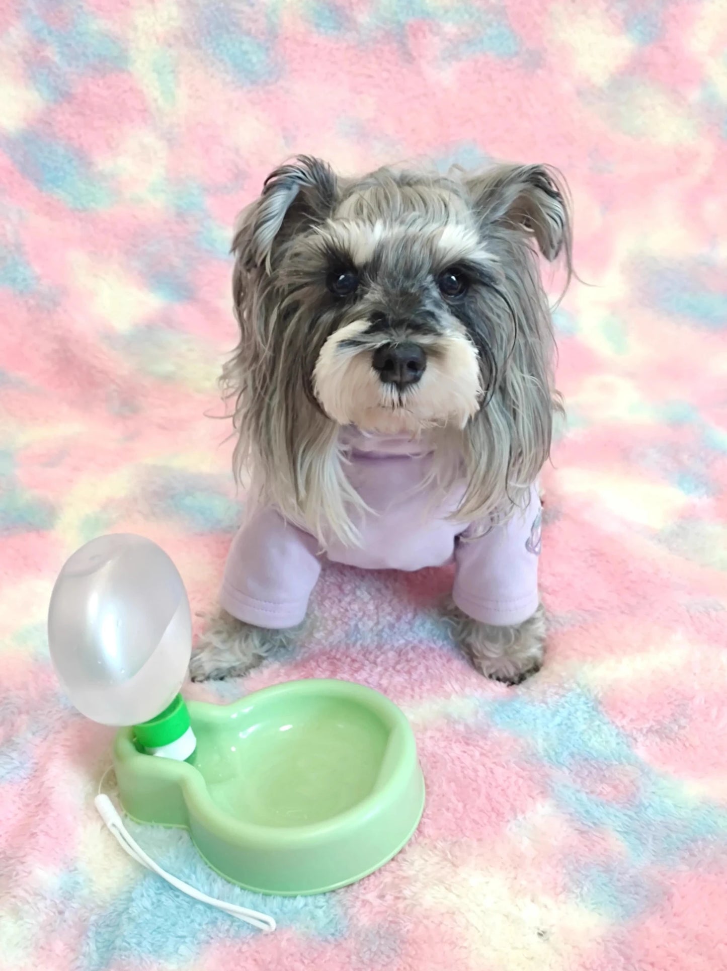 Foldable Pet Water Bottle with Large Capacity Dog Bowl Feeder - PureShop