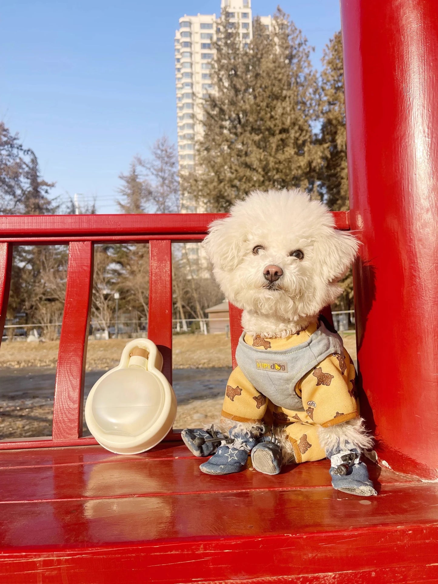 Foldable Pet Water Bottle with Large Capacity Dog Bowl Feeder - PureShop