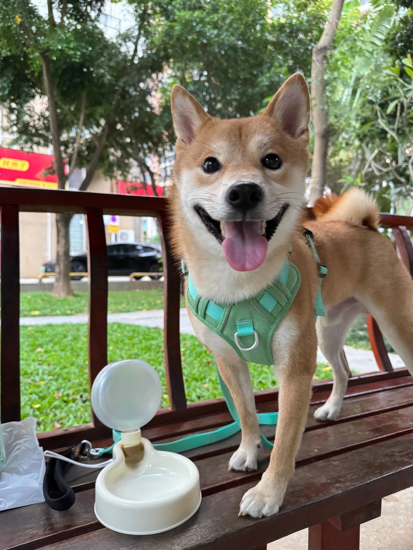 Foldable Pet Water Bottle with Large Capacity Dog Bowl Feeder - PureShop