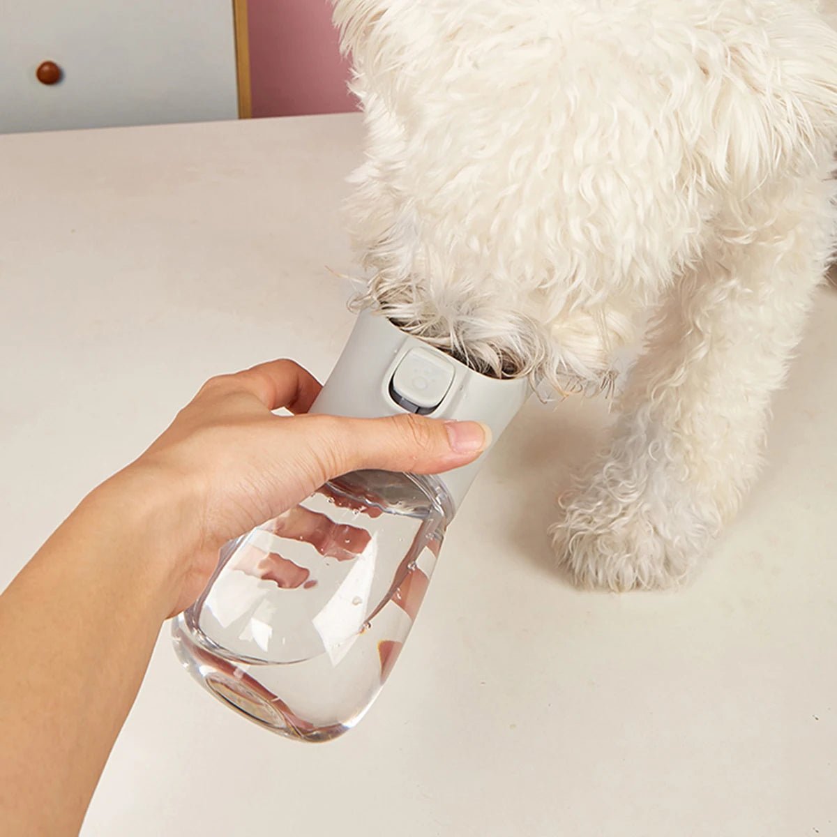 Leak-Proof Dog Water Bottle for Outdoor Travel - PureShop