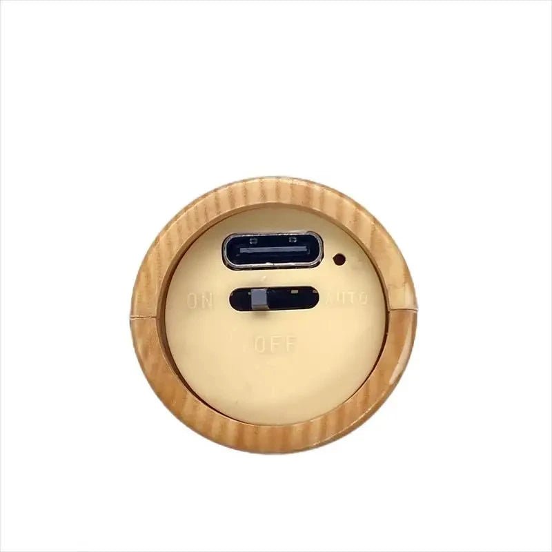 Human Body Induction Lamp USB Charging Smart Motion Sensor - PureShop