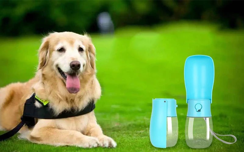 Portable 300 ml Dog Water Bottle - PureShop