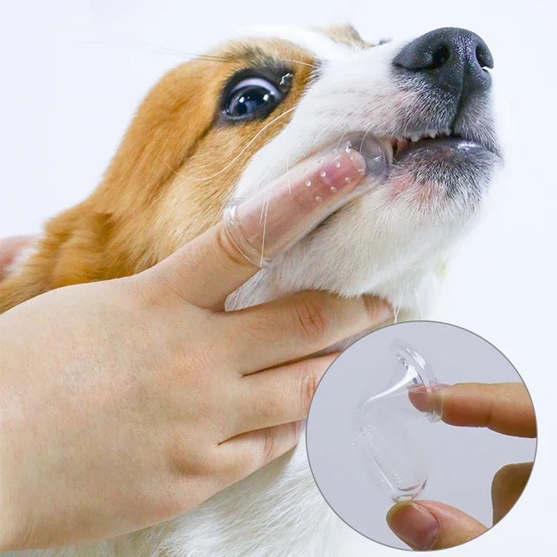 Pet Finger Toothbrush - PureShop