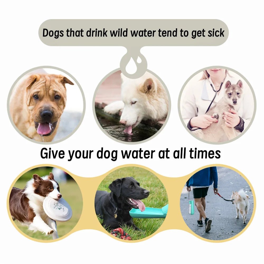 Large Dog Outdoor Foldable Water Bottle with Leak Proof Drinking Bowl - PureShop