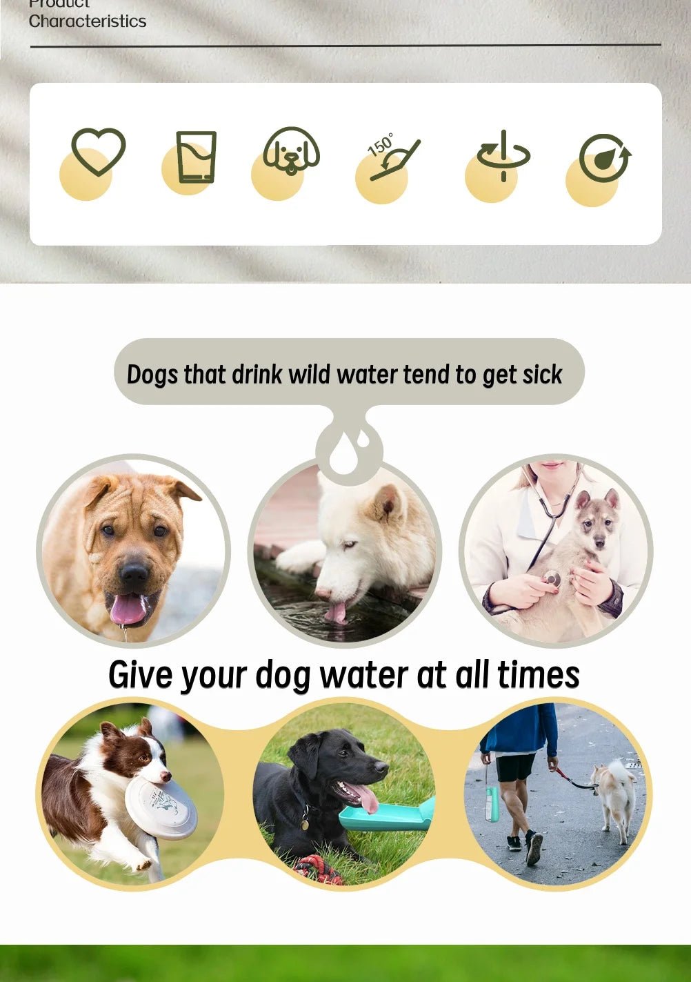 Large Dog Outdoor Foldable Water Bottle with Leak Proof Drinking Bowl - PureShop
