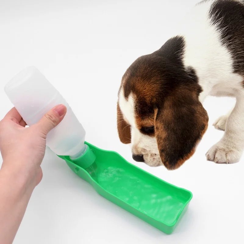 Portable Pet Water Bottle for Walking - PureShop