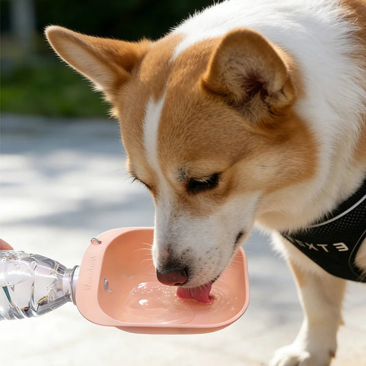 Portable Dog Water Bottle & Bowl - PureShop